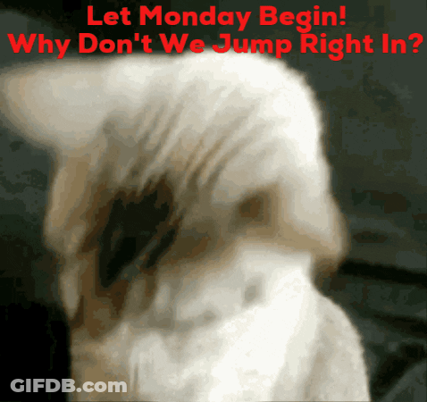 A Blurred Image Of A Cat With The Words Let Monday Begin Why Don 'T We Jump Right In GIF