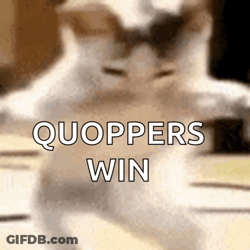 A Blurred Image Of A Cat With The Words Quoppers Win Written Above It GIF