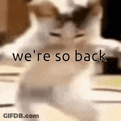 A Blurred Image Of A Cat With The Words We 'Re So Back Written On It . GIF