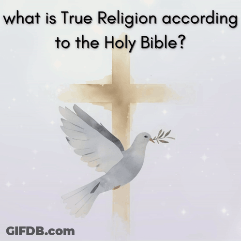 A Blurred Image Of A Cross With A Dove On It GIF