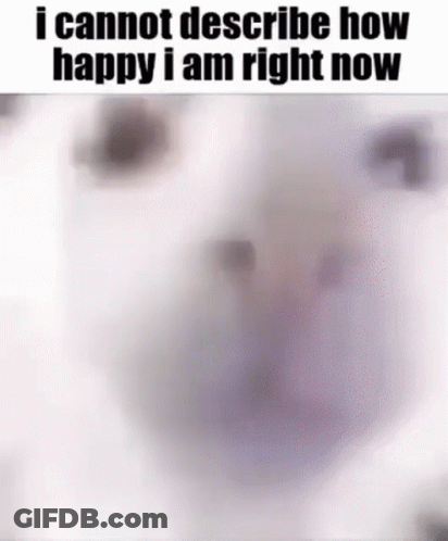 A Blurred Image Of A Dalmatian Dog With The Words `` I Cannot Describe How Happy I Am Right Now '' . GIF