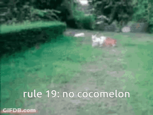 A Blurred Image Of A Dog Walking In A Yard With The Words Rule 19 : No Cocomelon Below It GIF