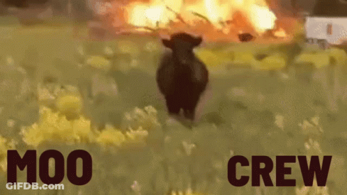 A Blurred Image Of A Fire With The Words Moo Crew Written Below It GIF