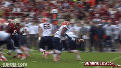 A Blurred Image Of A Football Game With The Words Seminoles.com On The Bottom GIF
