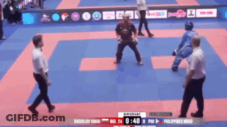 A Blurred Image Of A Karate Match Between Bulgaria And The Philippines GIF