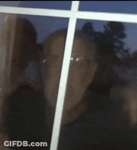A Blurred Image Of A Man Behind A Window GIF