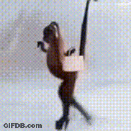 A Blurred Image Of A Monkey Standing On Its Hind Legs On A White Surface . GIF