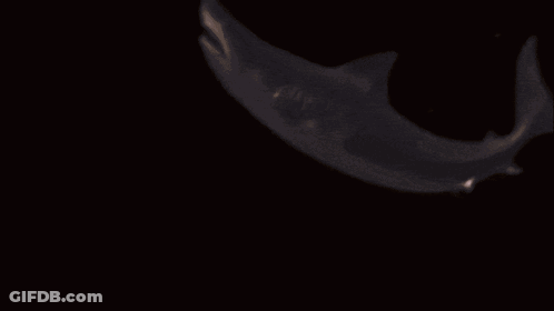 A Blurred Image Of A Person 'S Face With A Dark Background GIF