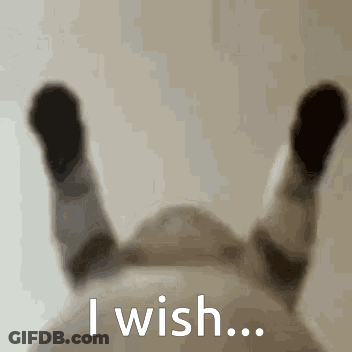 A Blurred Image Of A Person 'S Legs With The Words " I Wish " Written Below Them GIF