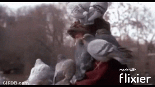 A Blurred Image Of A Person Surrounded By Pigeons With The Words Made With Flixier In The Corner GIF