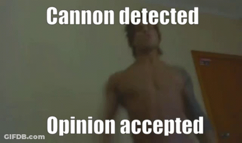 A Blurred Image Of A Person With The Words Cannon Detected Opinion Accepted GIF