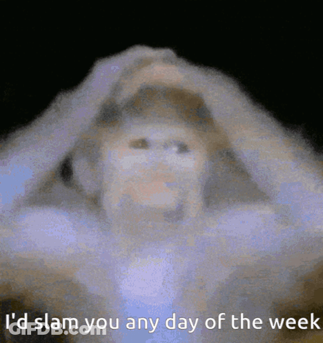 A Blurred Image Of A Person With The Words I 'D Slam You Any Day Of The Week On The Bottom GIF