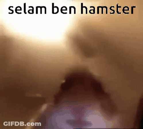 A Blurred Image Of A Person With The Words Selam Ben Hamster Below Them GIF