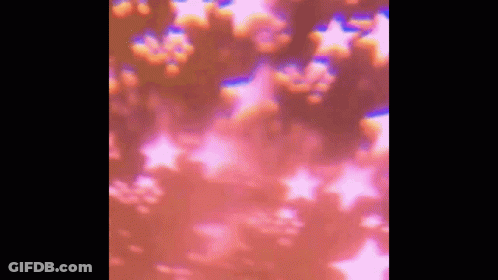 A Blurred Image Of A Pink Background With Stars GIF