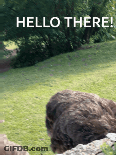 A Blurred Image Of A Sheep With The Words Hello There Written Above It GIF