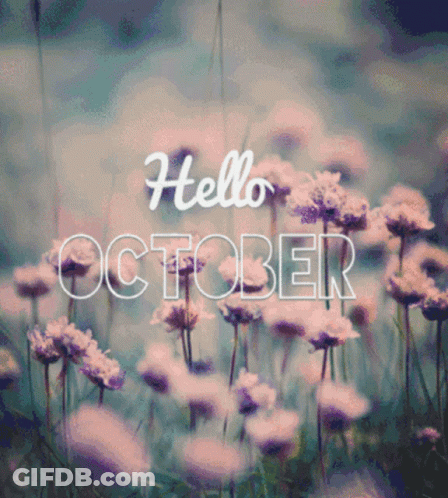 A Blurred Image Of Flowers With The Words Hello October GIF
