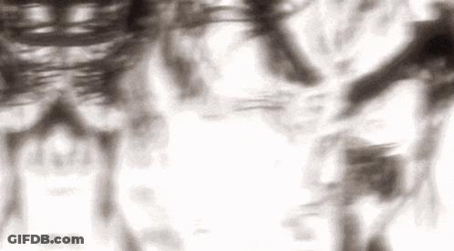 A Blurry Black And White Photo Of A Person Standing In Front Of A White Background . GIF