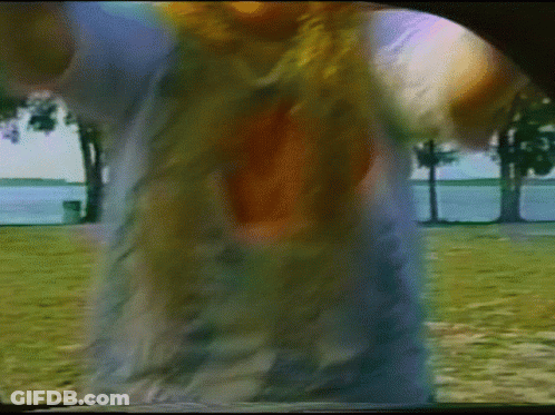 A Blurry Image Of A Person Standing In A Field With Trees In The Background GIF