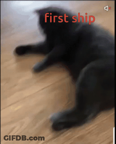 A Blurry Picture Of A Black Cat With The Words First Ship Visible GIF