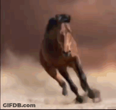A Blurry Picture Of A Brown Horse Running In The Desert GIF