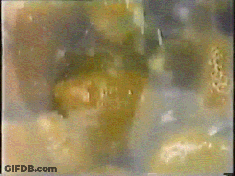 A Blurry Picture Of A Bunch Of Oranges On A Dark Background GIF