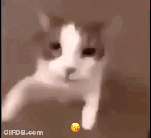 A Blurry Picture Of A Cat With A Smiley Face On It 'S Paw . GIF