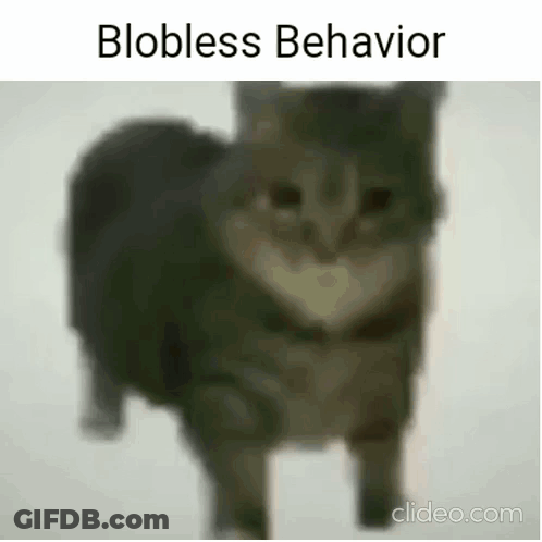 A Blurry Picture Of A Cat With The Words Blobless Behavior On It . GIF