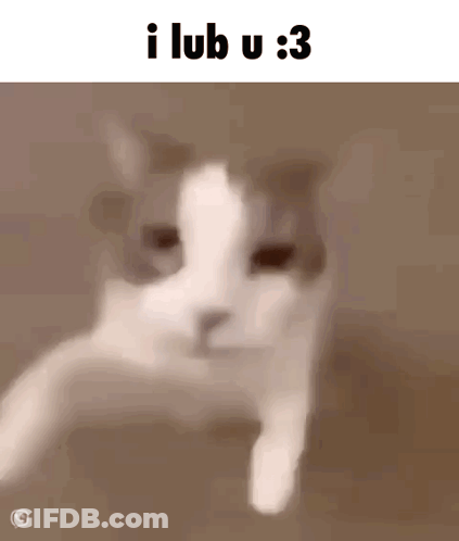 A Blurry Picture Of A Cat With The Words I Lub U : 3 Above It GIF