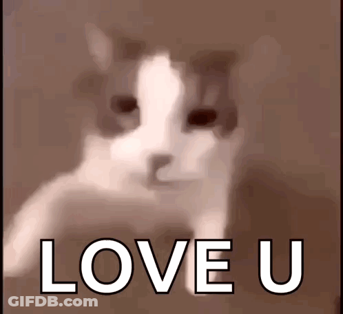 A Blurry Picture Of A Cat With The Words Love U Above It GIF
