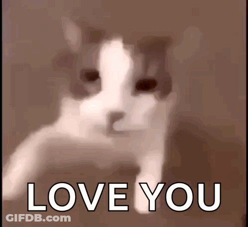 A Blurry Picture Of A Cat With The Words Love You On The Bottom GIF