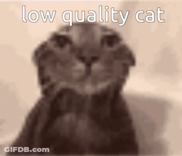 A Blurry Picture Of A Cat With The Words Low Quality Cat Written Above It GIF