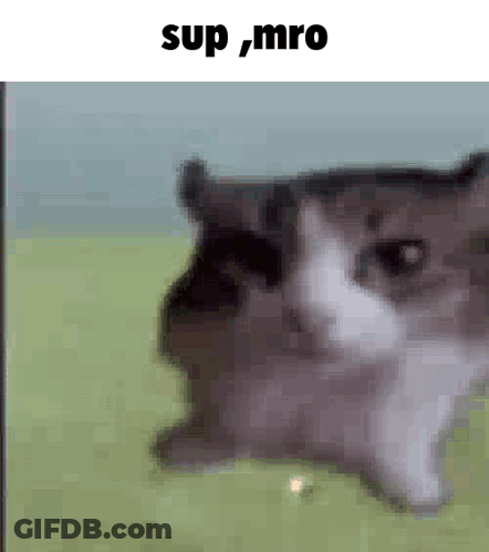 A Blurry Picture Of A Cat With The Words `` Sup Mro '' Written Above It . GIF