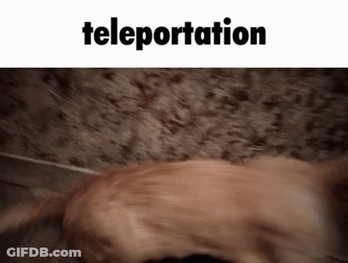 A Blurry Picture Of A Dog With The Words Teleportation Above It GIF