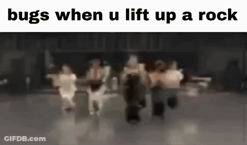 A Blurry Picture Of A Group Of People Dancing With The Caption `` Bugs When U Lift Up A Rock '' GIF