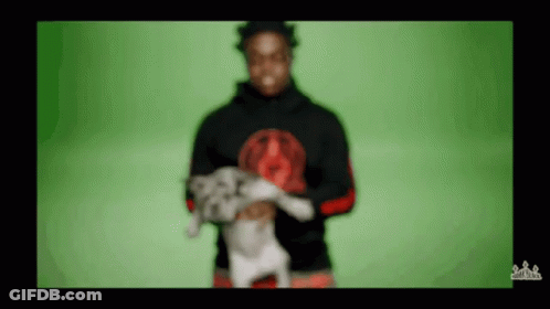 A Blurry Picture Of A Man Holding A Dog With A Green Screen Behind Him GIF