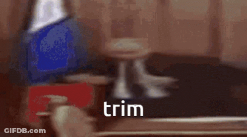 A Blurry Picture Of A Man In A Suit And Tie With The Word Trim Written In The Corner . GIF