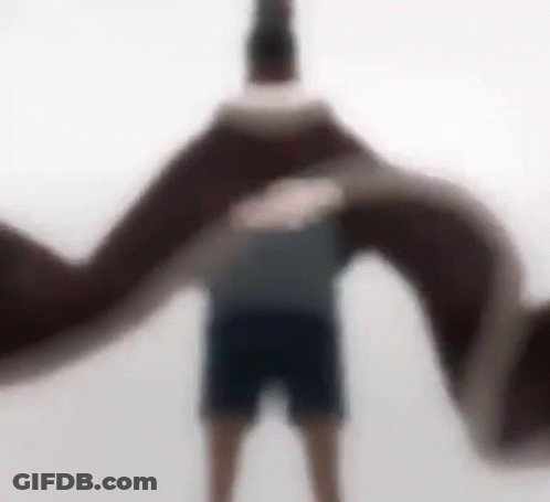 A Blurry Picture Of A Man Standing In Front Of A Giant Snake . GIF