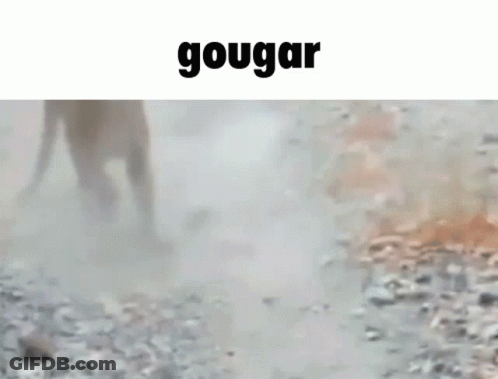 A Blurry Picture Of A Monkey Standing In The Dirt With The Word Gougar Above It . GIF