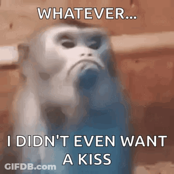 A Blurry Picture Of A Monkey With A Caption That Says `` Whatever ... I Didn 'T Even Want A Kiss '' GIF