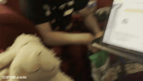 A Blurry Picture Of A Person Holding A Stuffed Animal In Front Of A Laptop GIF