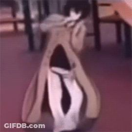 Blurry Person In Trench Coat Standing On Table GIF
