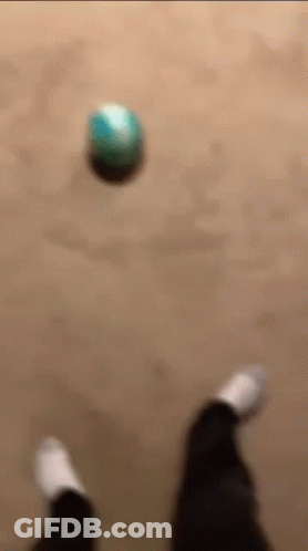 A Blurry Picture Of A Person Playing With A Ball On The Floor . GIF
