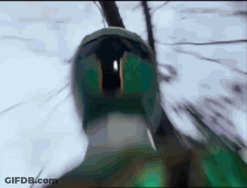 A Blurry Picture Of A Person 'S Face With A Duck 'S Head In The Foreground GIF