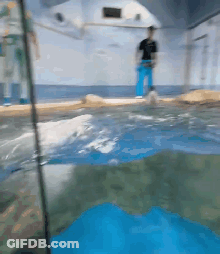 A Blurry Picture Of A Person Standing In A Pool GIF