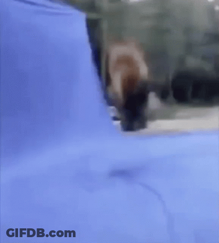 A Blurry Picture Of A Person Standing In Front Of A Blue Wall . GIF