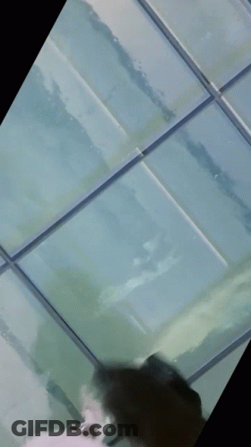 A Blurry Picture Of A Person Standing On A Glass Ceiling GIF