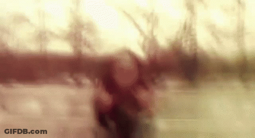 Blurry Person Walking In Park With Trees GIF