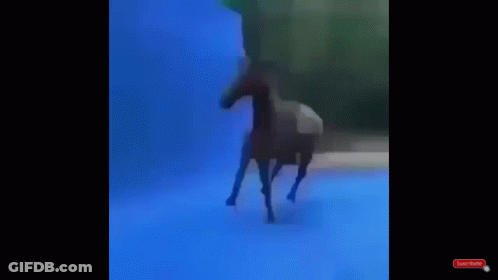 A Blurry Picture Of A Pool With A Red Subscribe Button GIF
