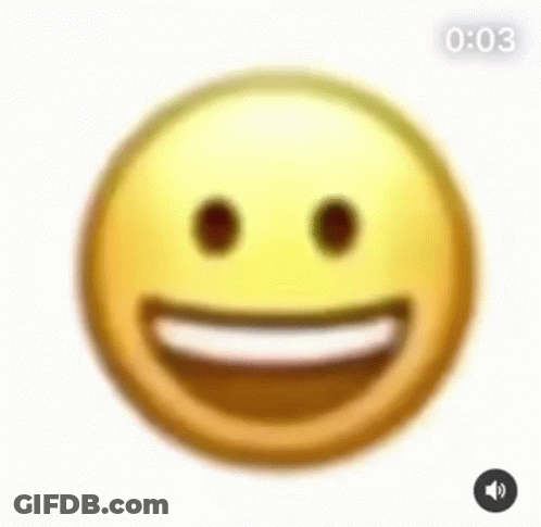 A Blurry Picture Of A Smiley Face With A Camera Behind It . GIF