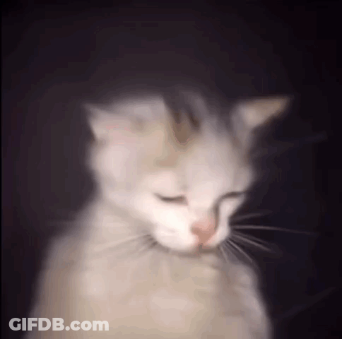 A Blurry Picture Of A White Cat With Its Eyes Closed Against A Black Background . GIF